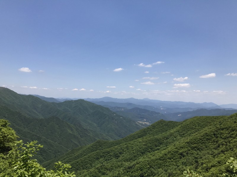89f550548381c22e25a7edb5845d0240_1496129